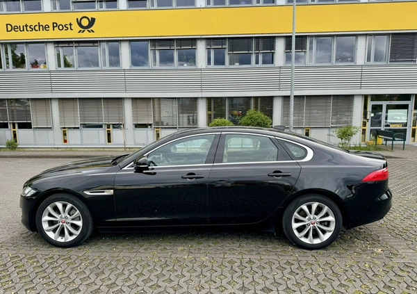 Jaguar XF cena 159900 przebieg: 39500, rok produkcji 2020 z Częstochowa małe 667